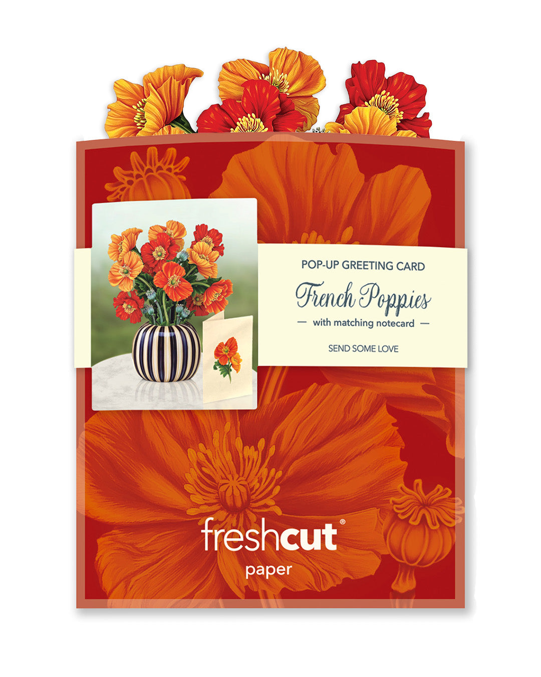 FreshCut Paper Mini Pop-Up Greeting Cards