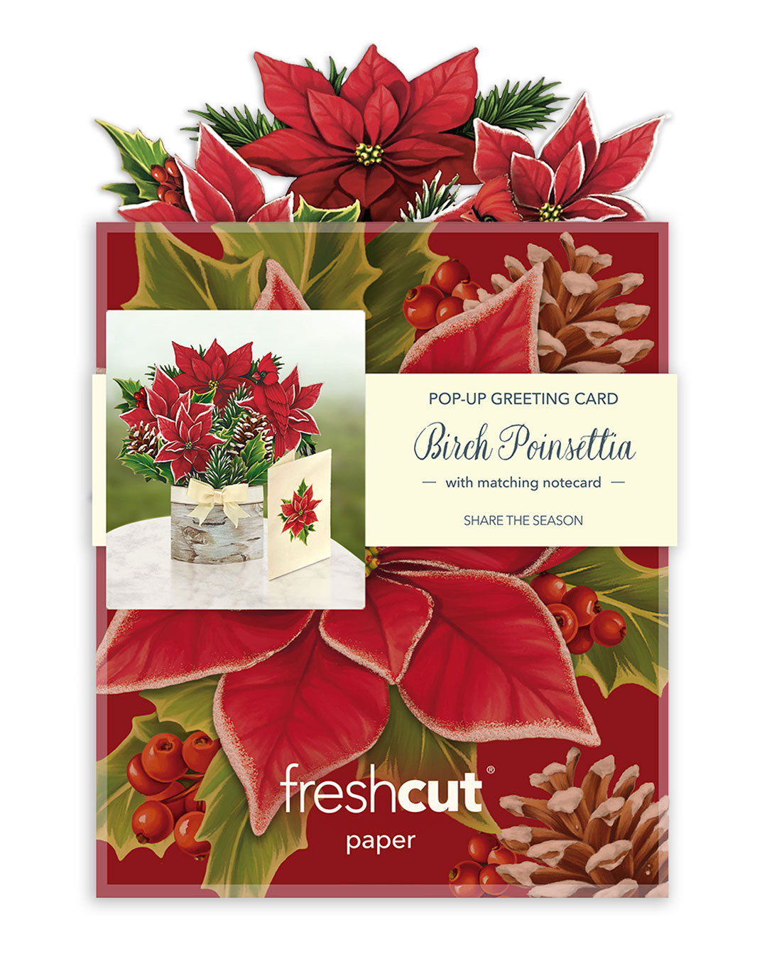FreshCut Paper Mini Pop-Up Greeting Cards