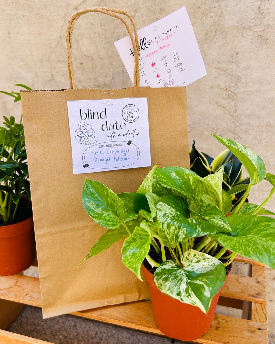Blind Date with a Plant - July 2nd & 3rd