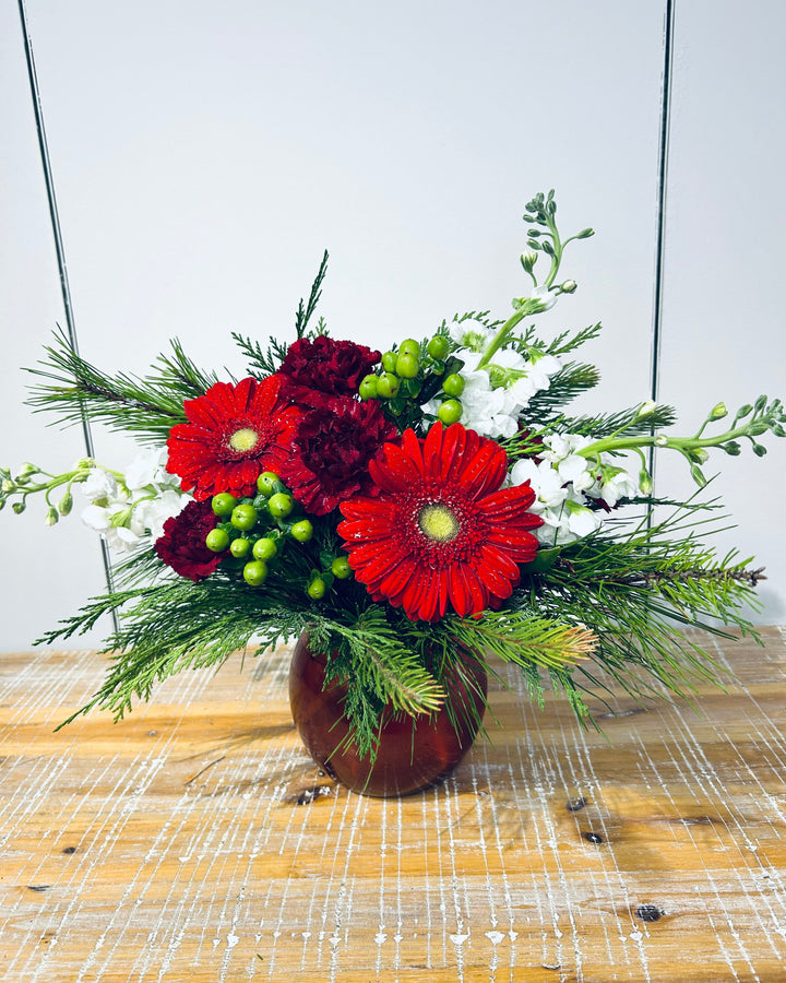 Winter Daisy Radiance