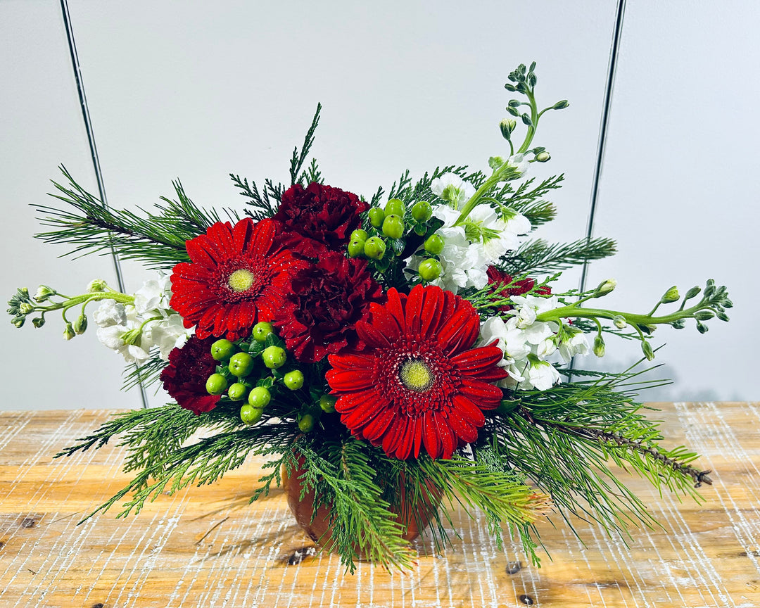 Winter Daisy Radiance