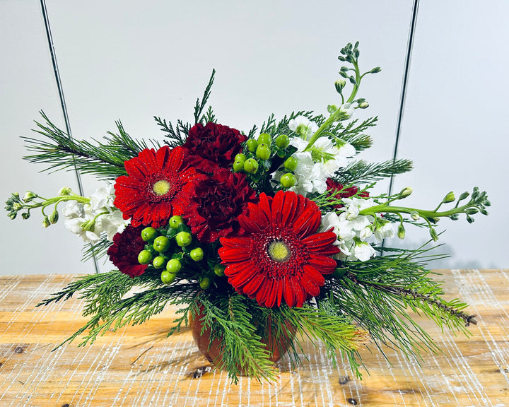 Winter Daisy Radiance