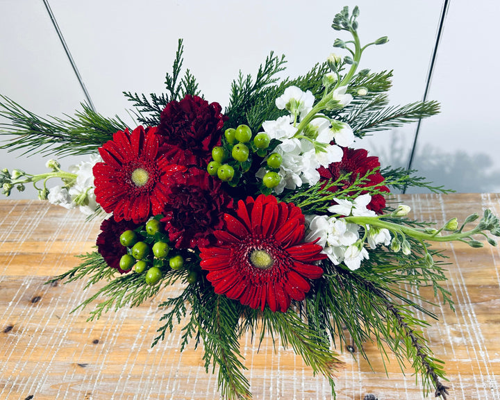 Winter Daisy Radiance