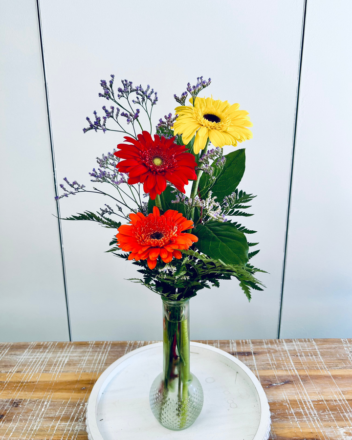 Gerbera Daisies Bud Vase