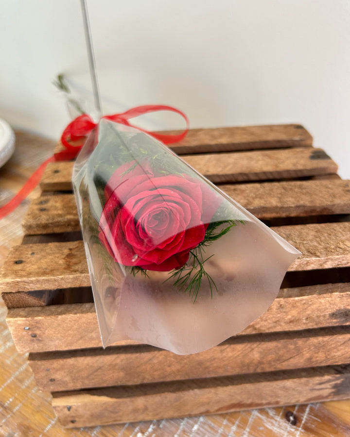 Holiday Rose with Greens