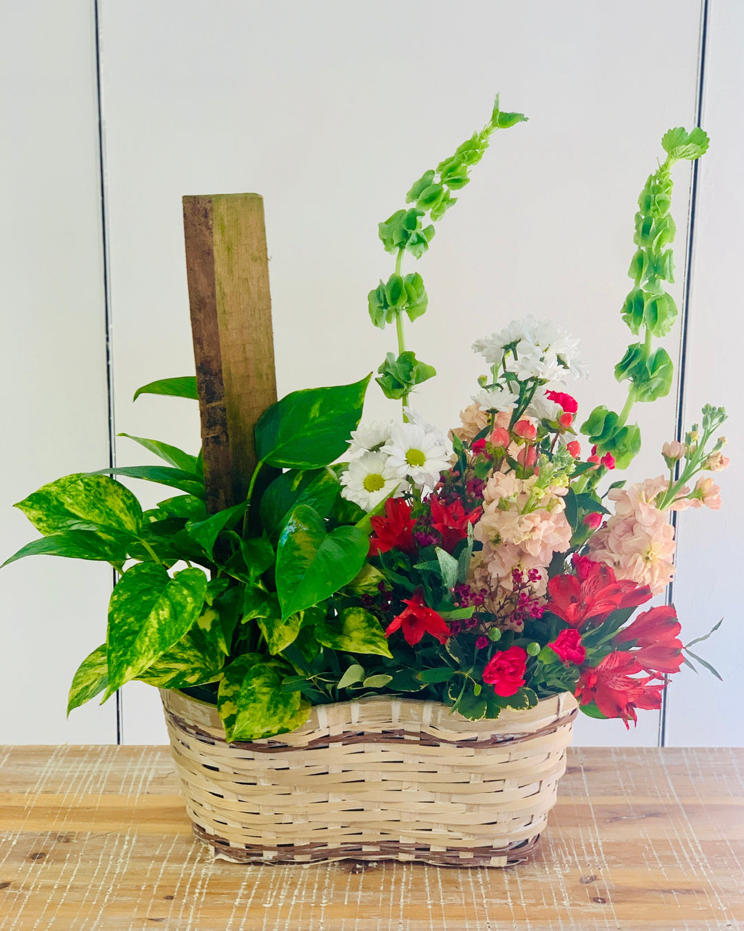 large indoor plant in basket Fresh Flowers & House Plant Combo Basket – Merle's Flower Shop