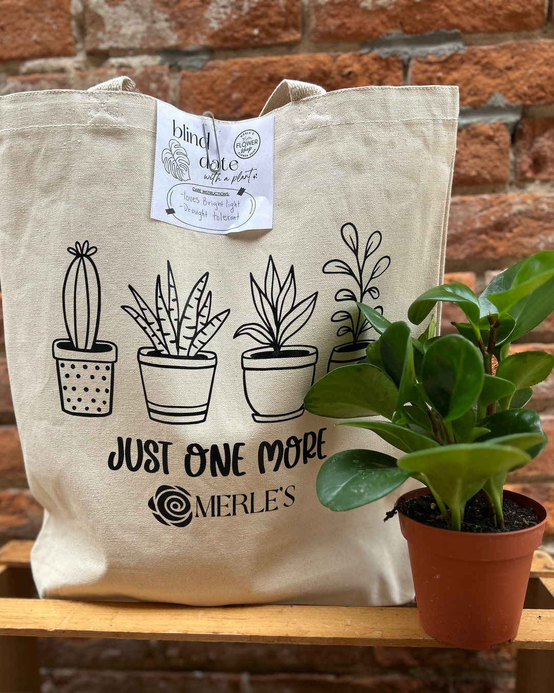 Blind Date with a Plant - July 2nd & 3rd