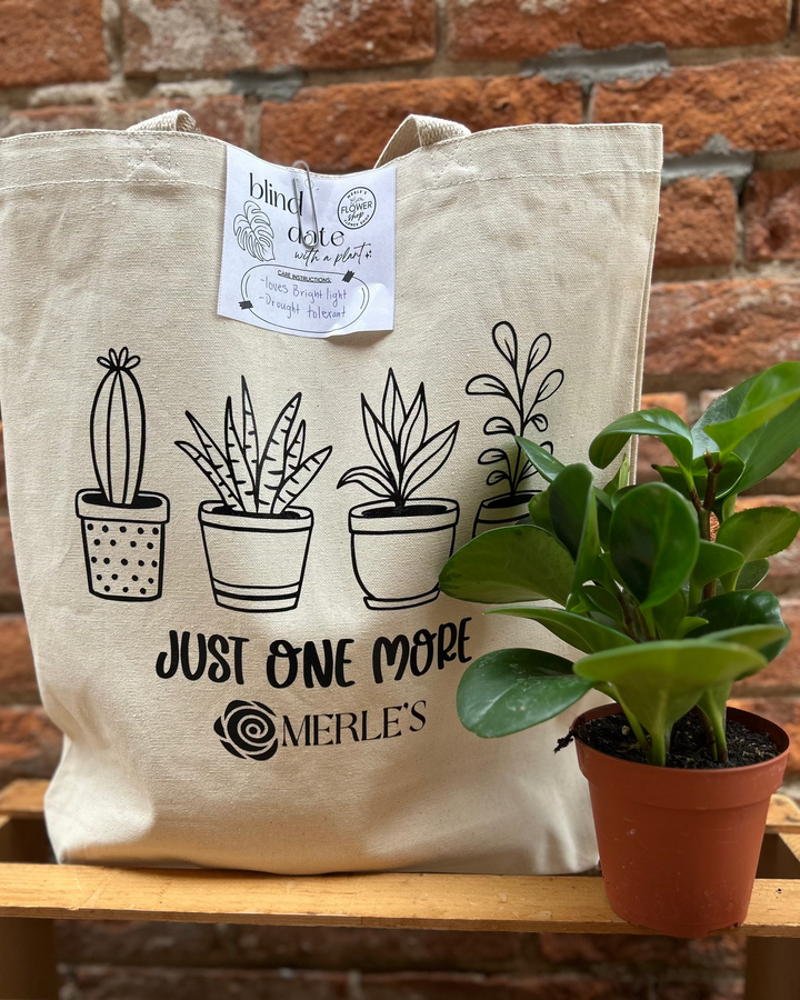 Blind Date with a Plant - July 2nd & 3rd