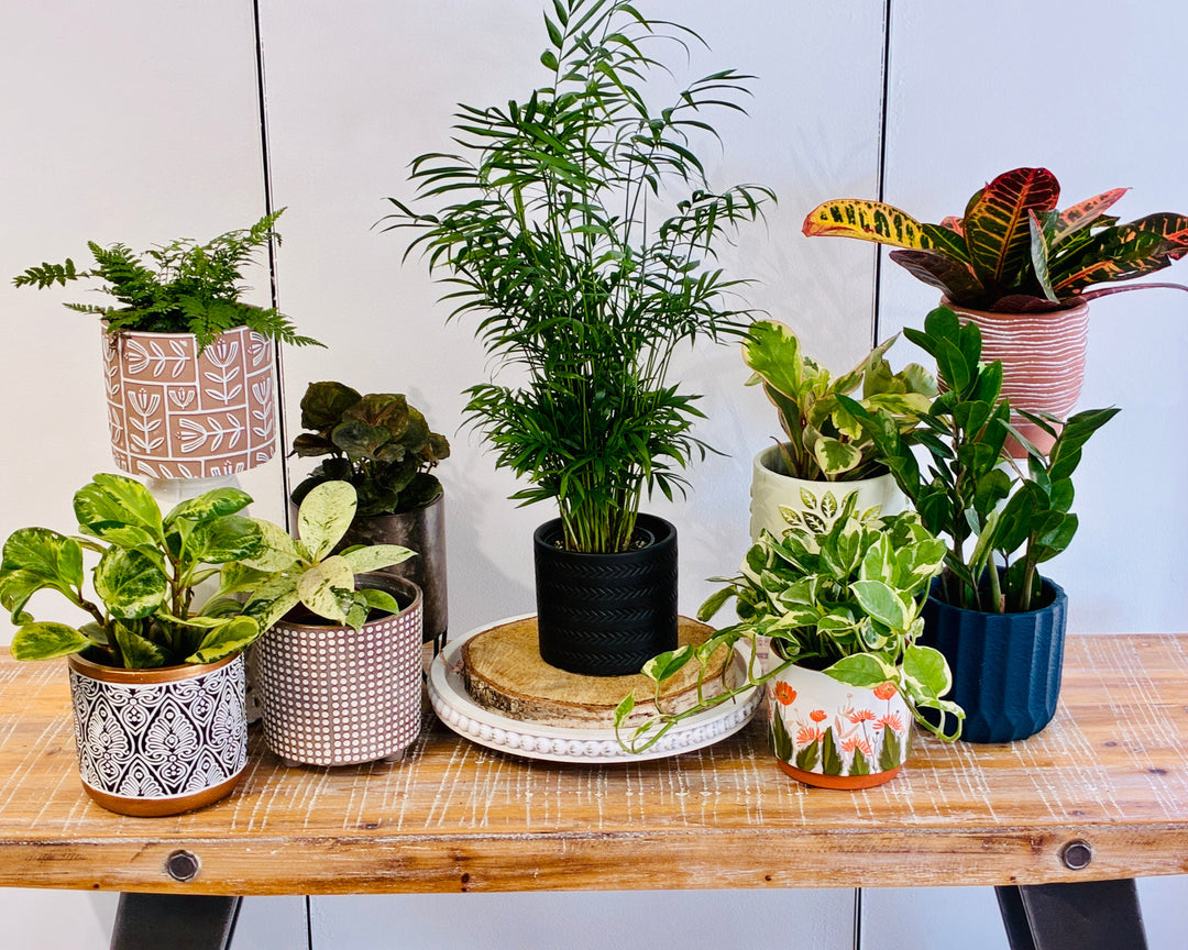 beautiful plant pots indoor Decorative Planter for 4" Plant