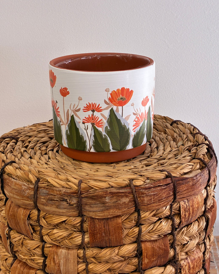 Decorative Planter for 4" Plant