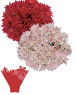 Christmas Cupcake Poms Bouquet